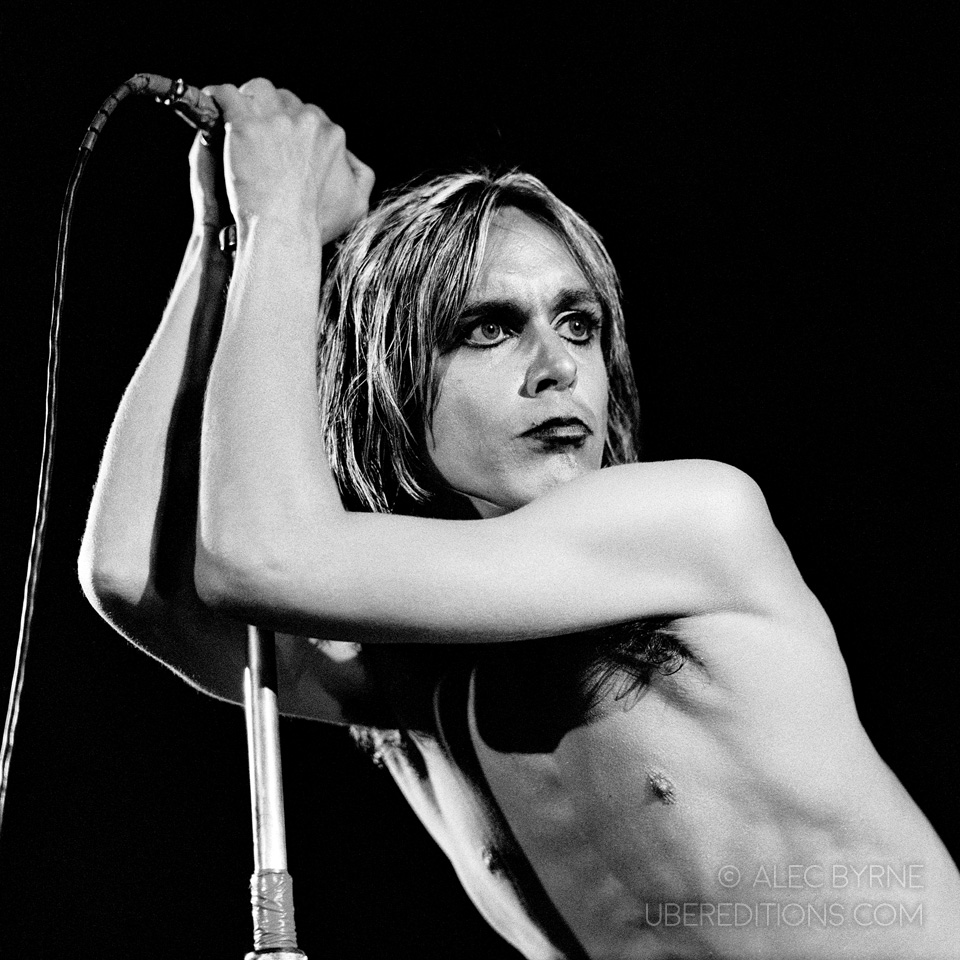 Image result for iggy pop