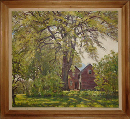 Dooryard Elm 