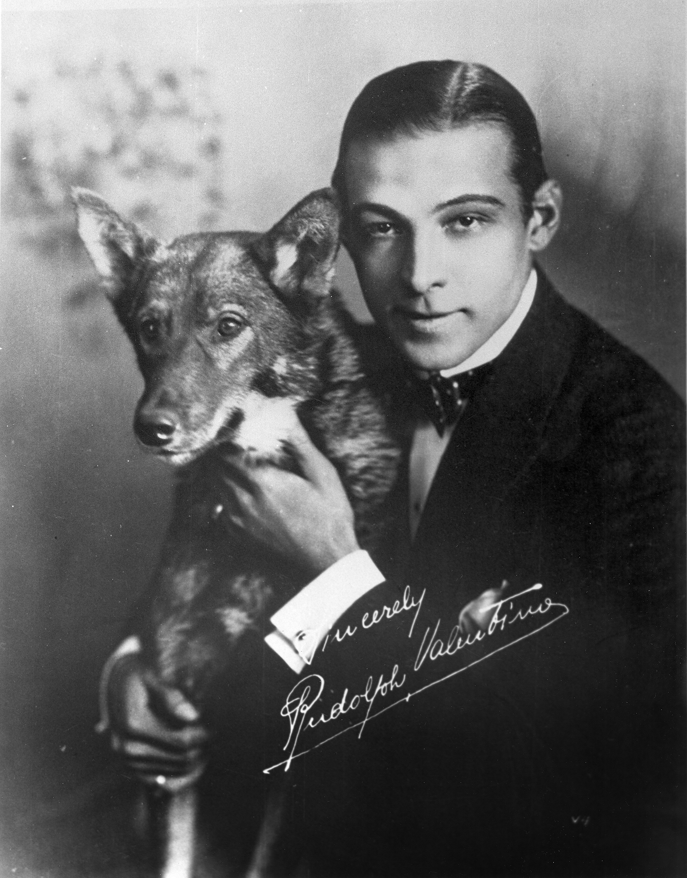 Image result for Rudolph Valentino