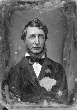 Image result for Henry David Thoreau