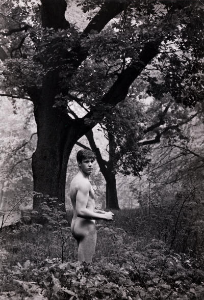 HERBERT LIST (1903-1975) Alexander in the Woods.