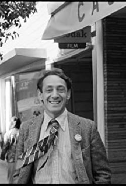 Image result for Harvey Milk