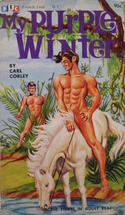 Gay Sex Novels 86